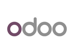 netz16_partnerlogo_odoo