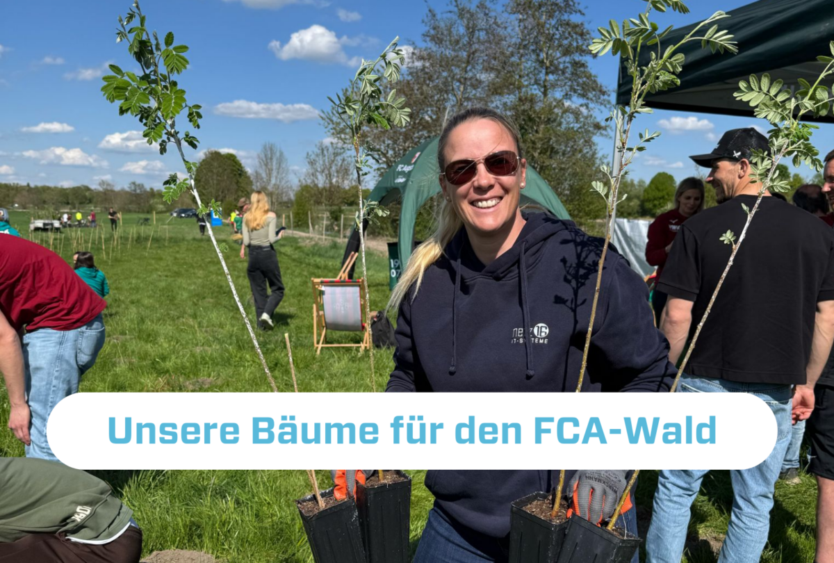 Netz16 Bäume für den FCA Wald